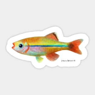 White Cloud Minnows Fish Sticker